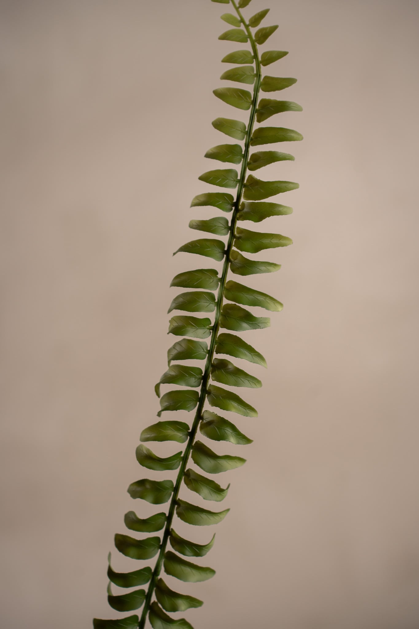 Kunstig grønt bregneblad 78 cm