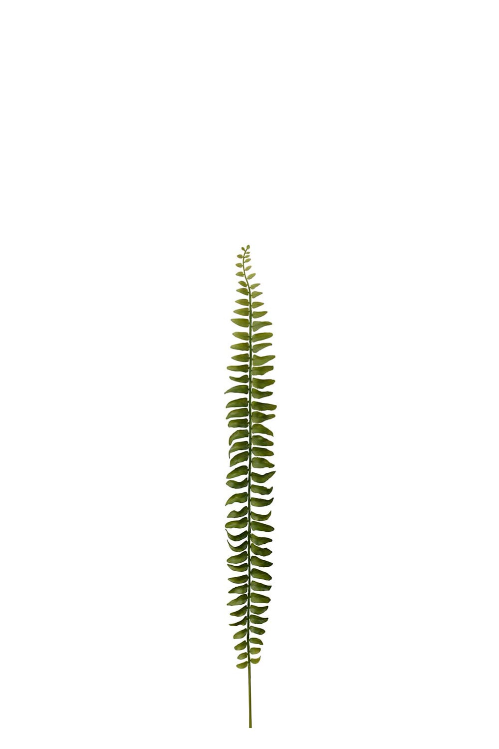 Kunstig grønt bregneblad 78 cm