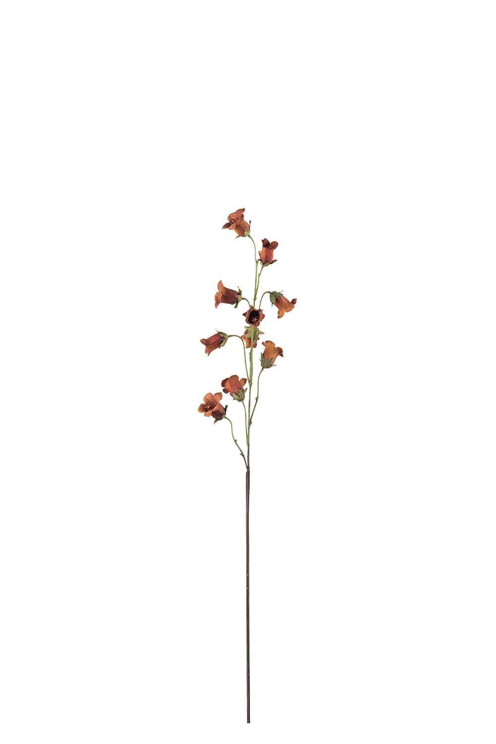 Kunstig brun Blåklokke 85 cm