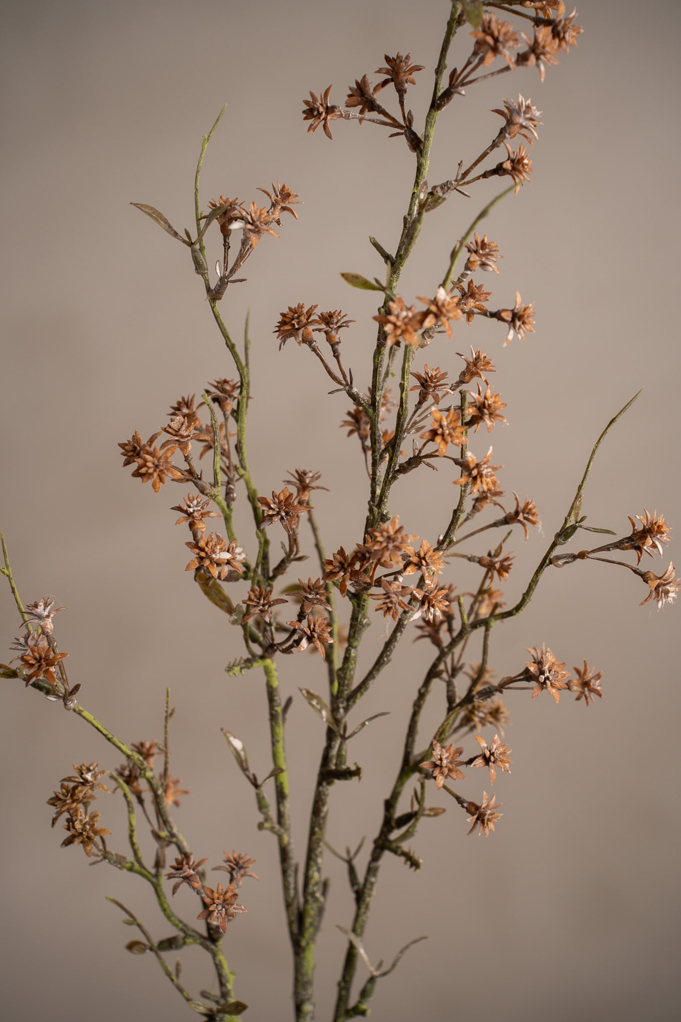 Kunstig brun Gypsophila 90 cm