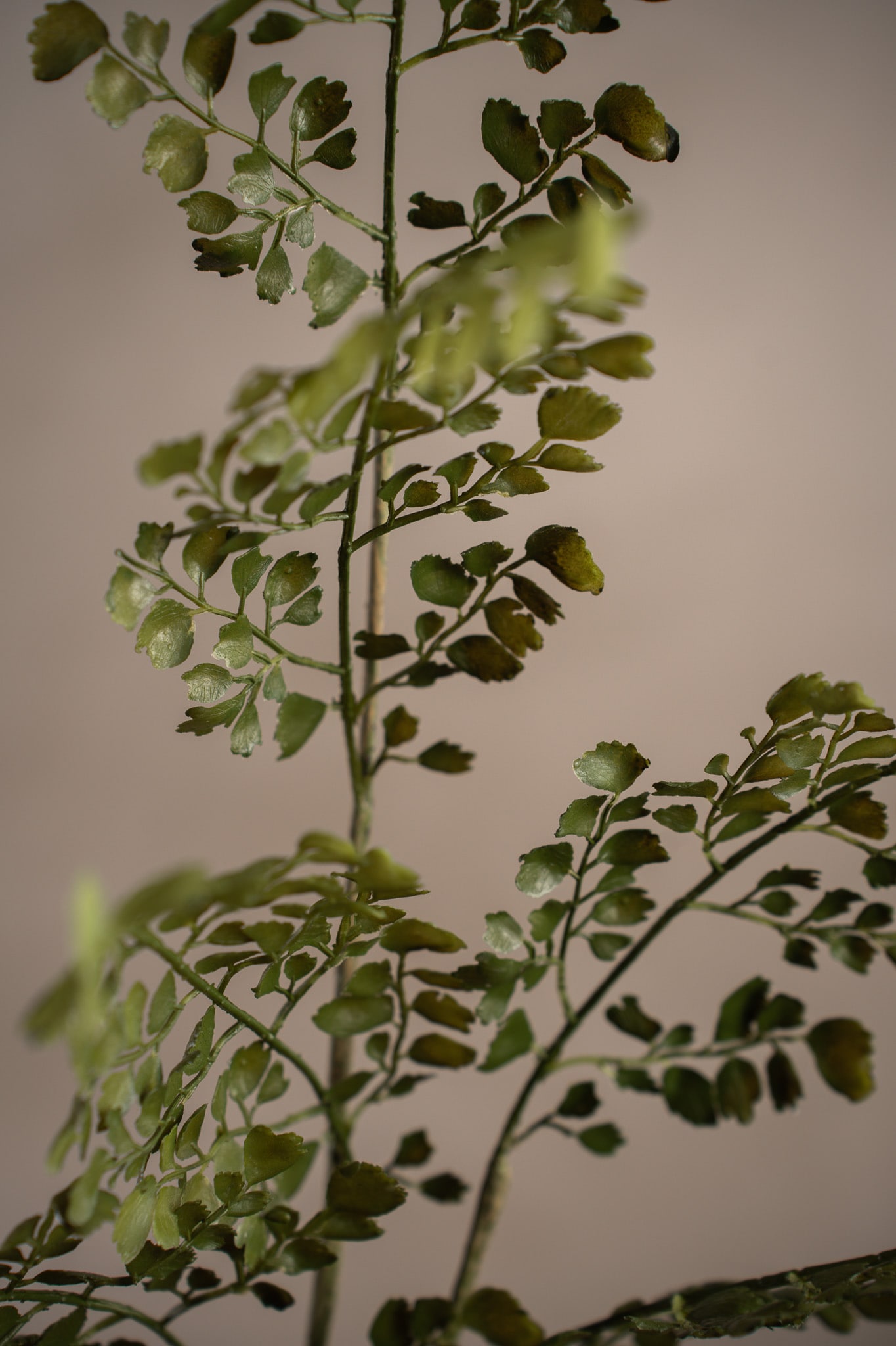 Kunstig grønn Adiantum 80 cm