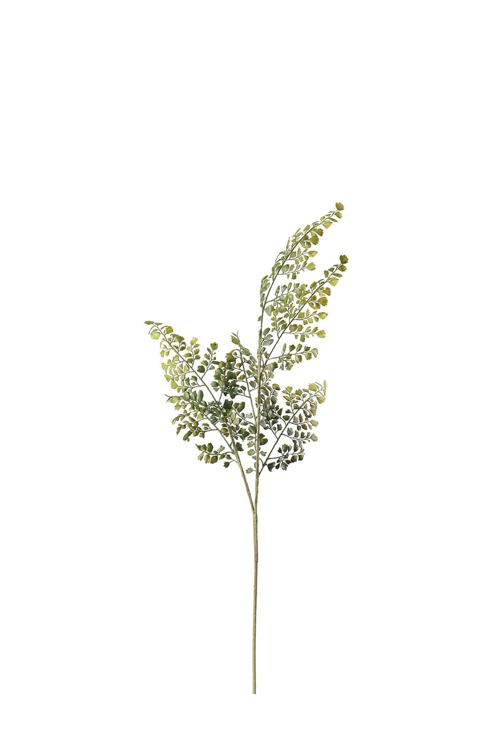 Kunstig grønn Adiantum 80 cm