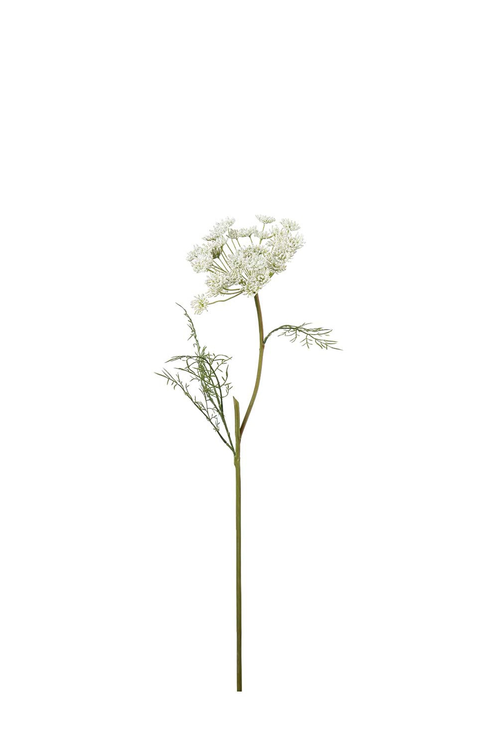 Kunstig hvit Villgulrot 70 cm