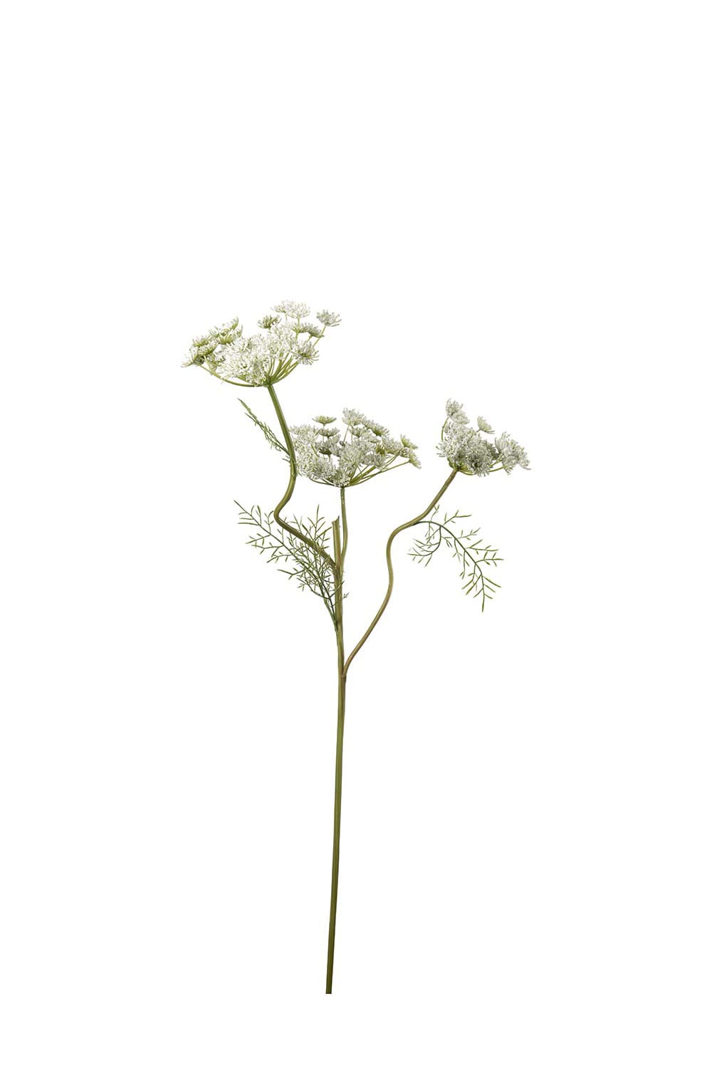 Kunstig hvit Villgulrot 80 cm