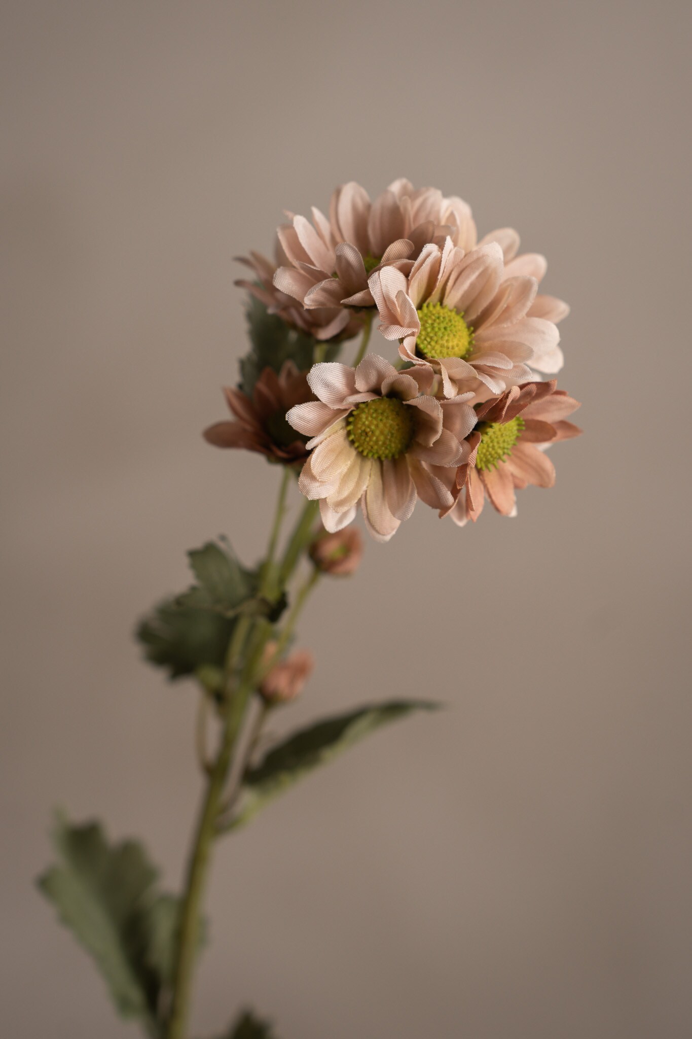 Kunstig rosa Chrysanthemum 58 cm