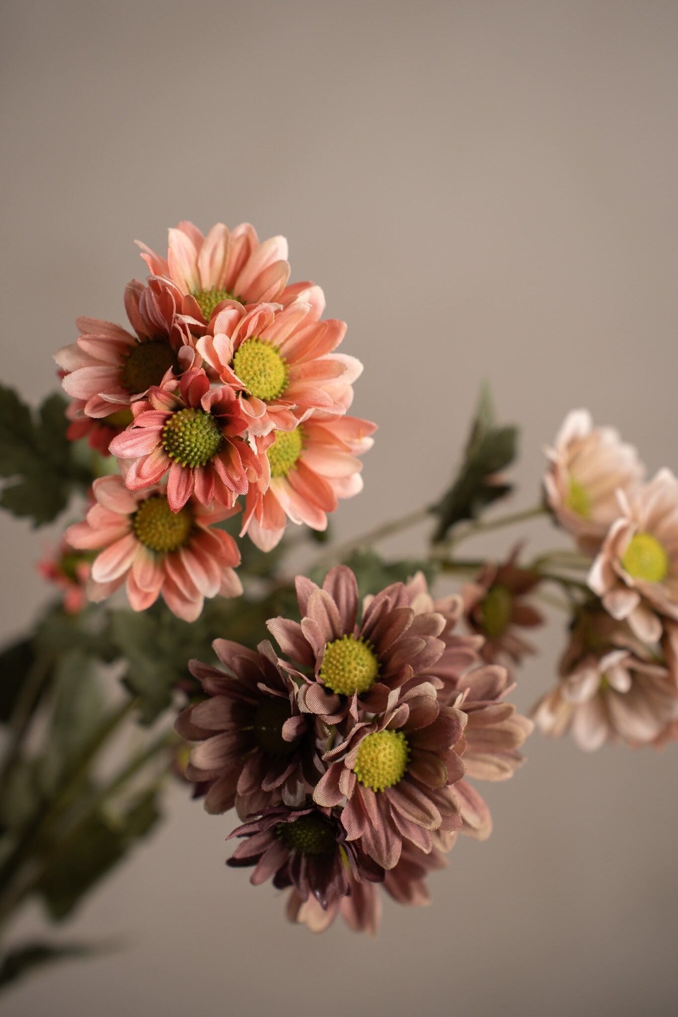 Kunstig rosa Chrysanthemum 58 cm