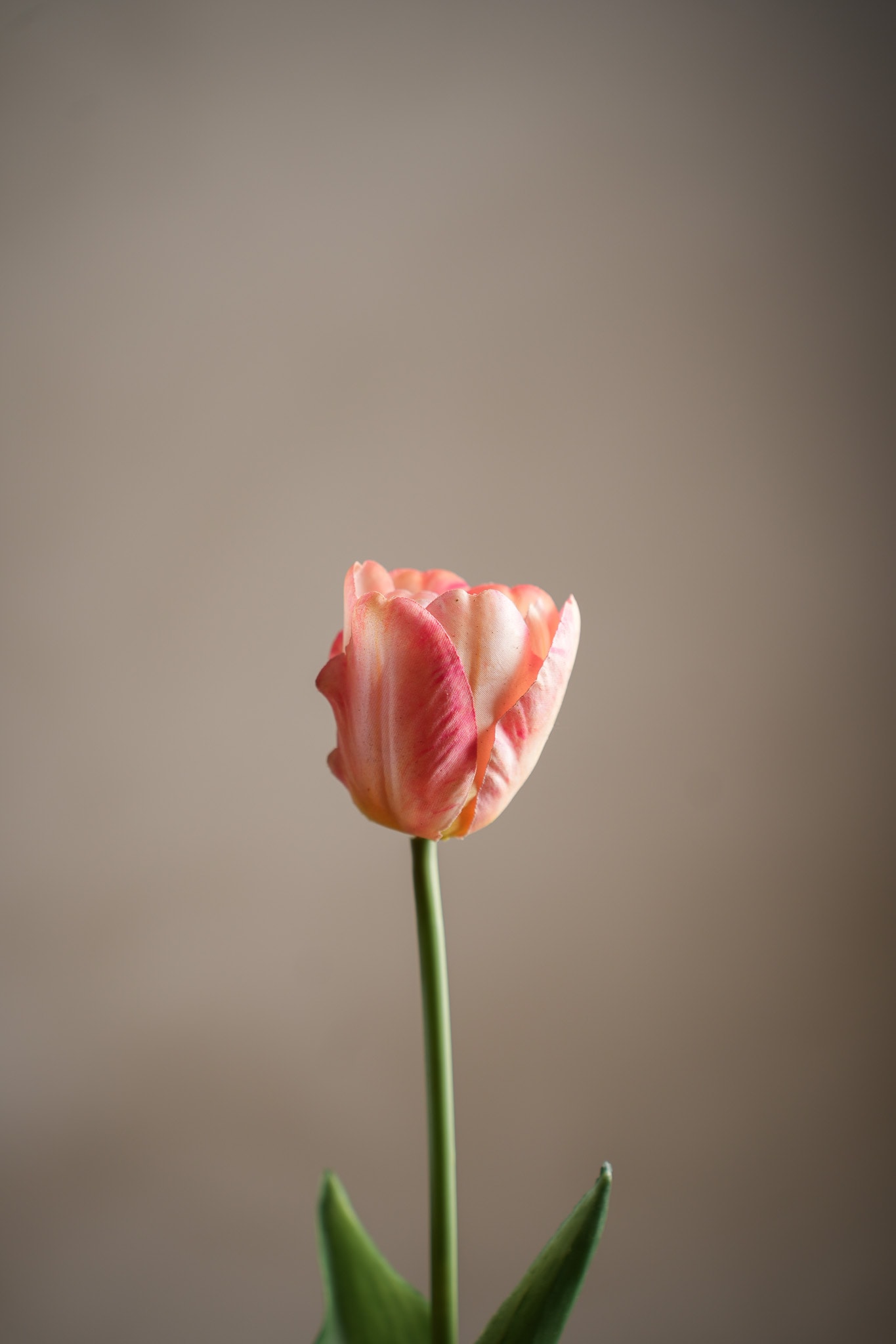 Kunstig ferskenfarget Tulipan 45 cm