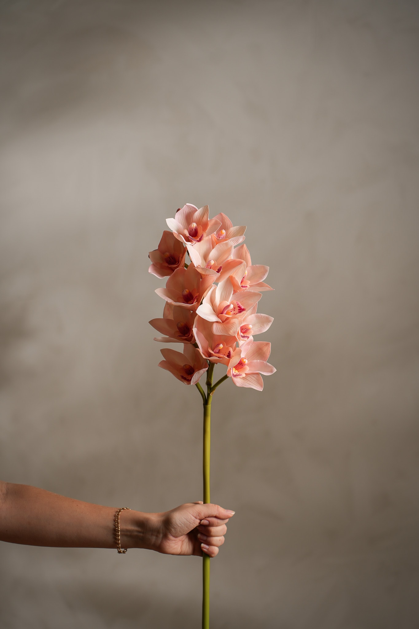 Kunstig rosa Cymbidium 65 cm