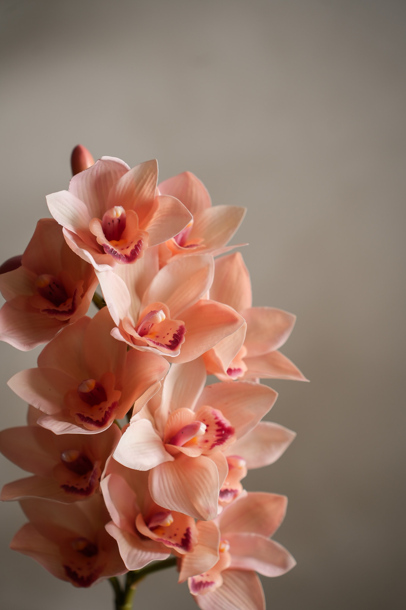 Kunstig rosa Cymbidium 65 cm