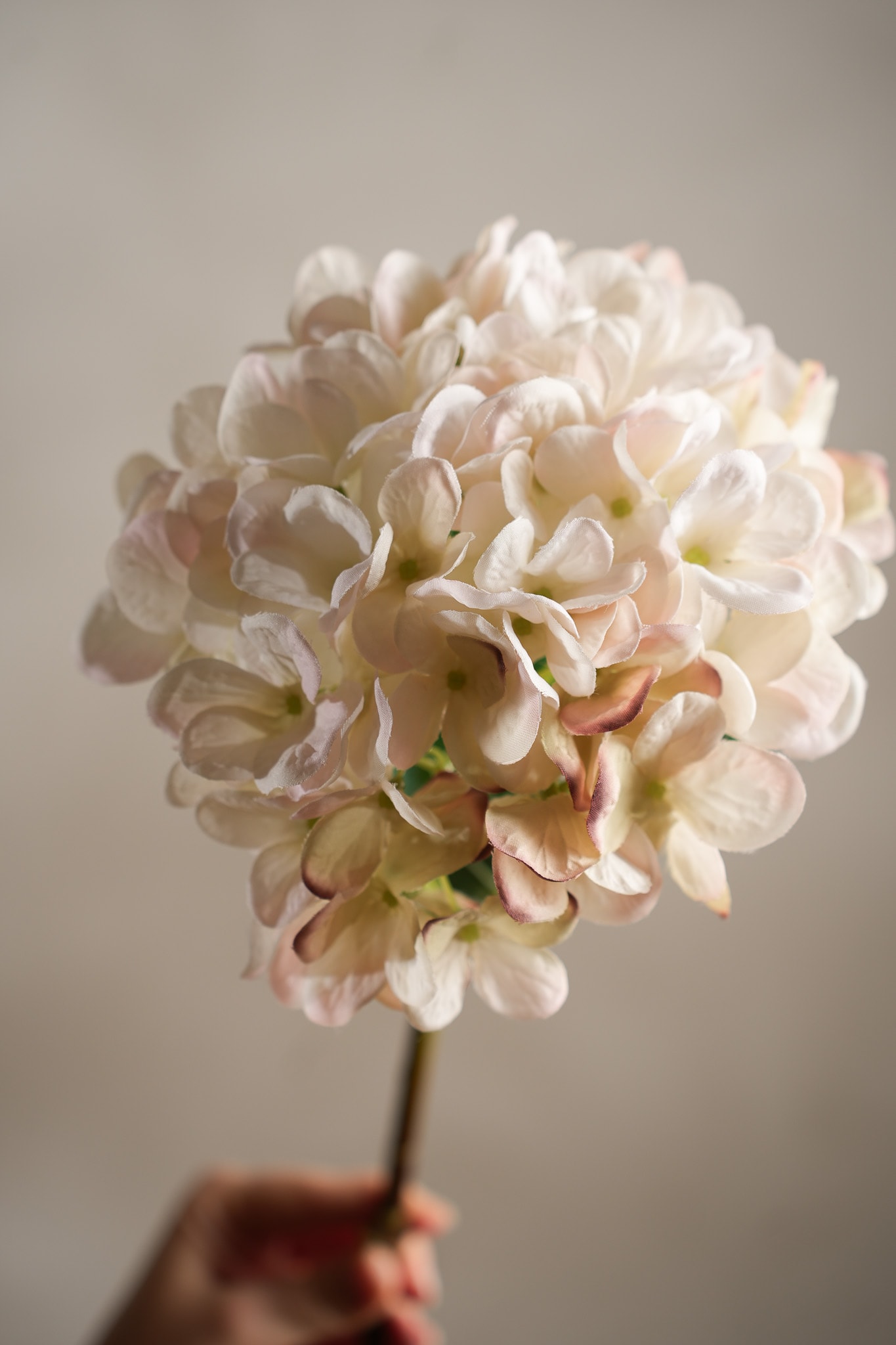 Kunstig kremfarget Hortensia 48 cm