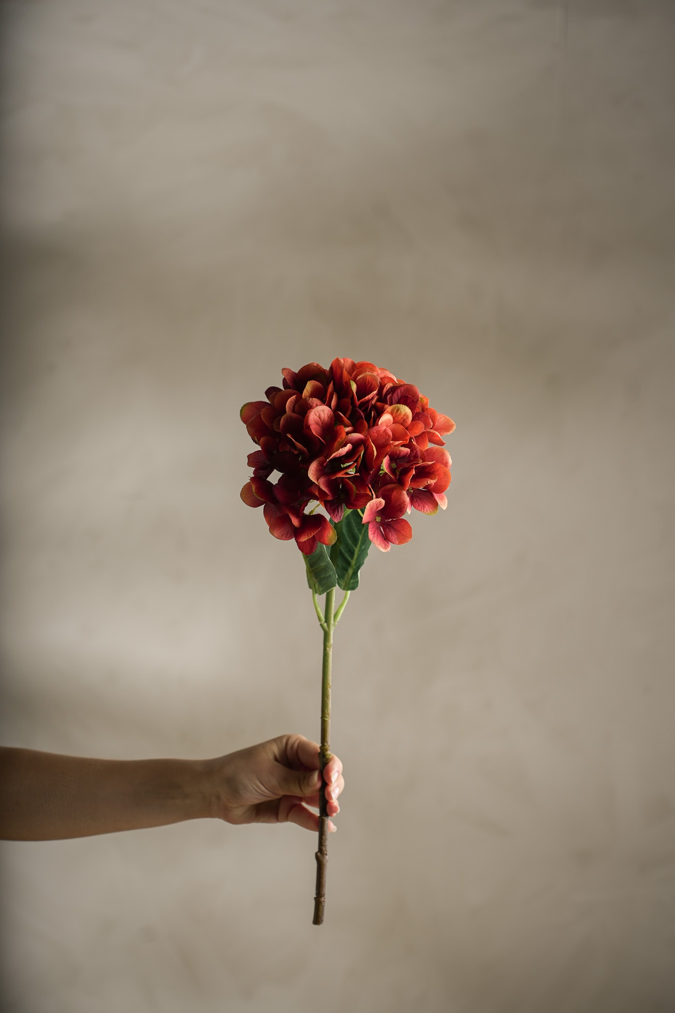 Kunstig oransje Hortensia 48 cm