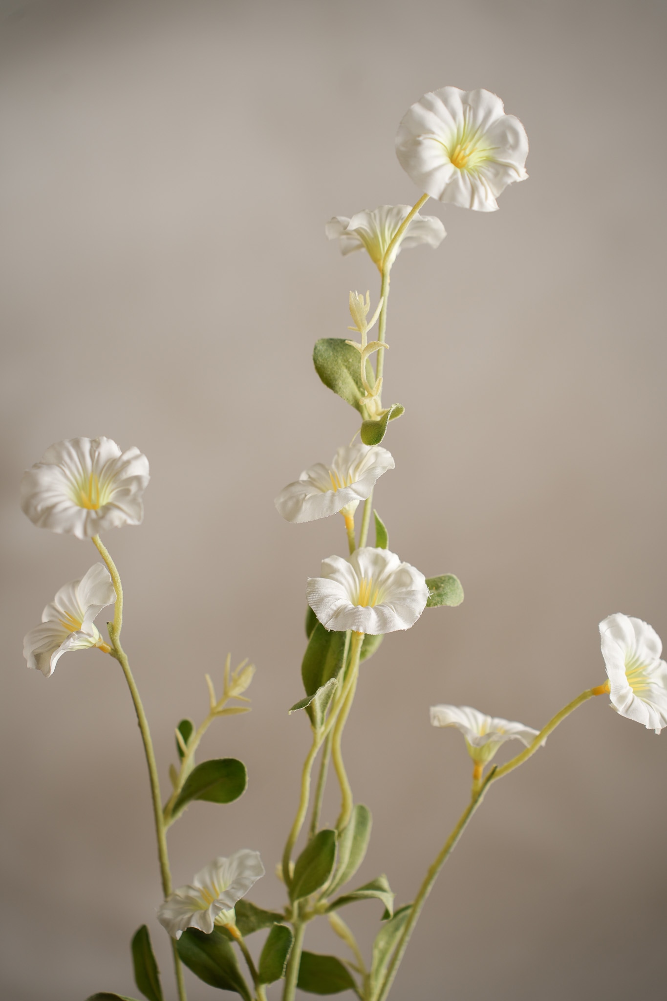 Kunstig hvit Dagens blomst 90 cm