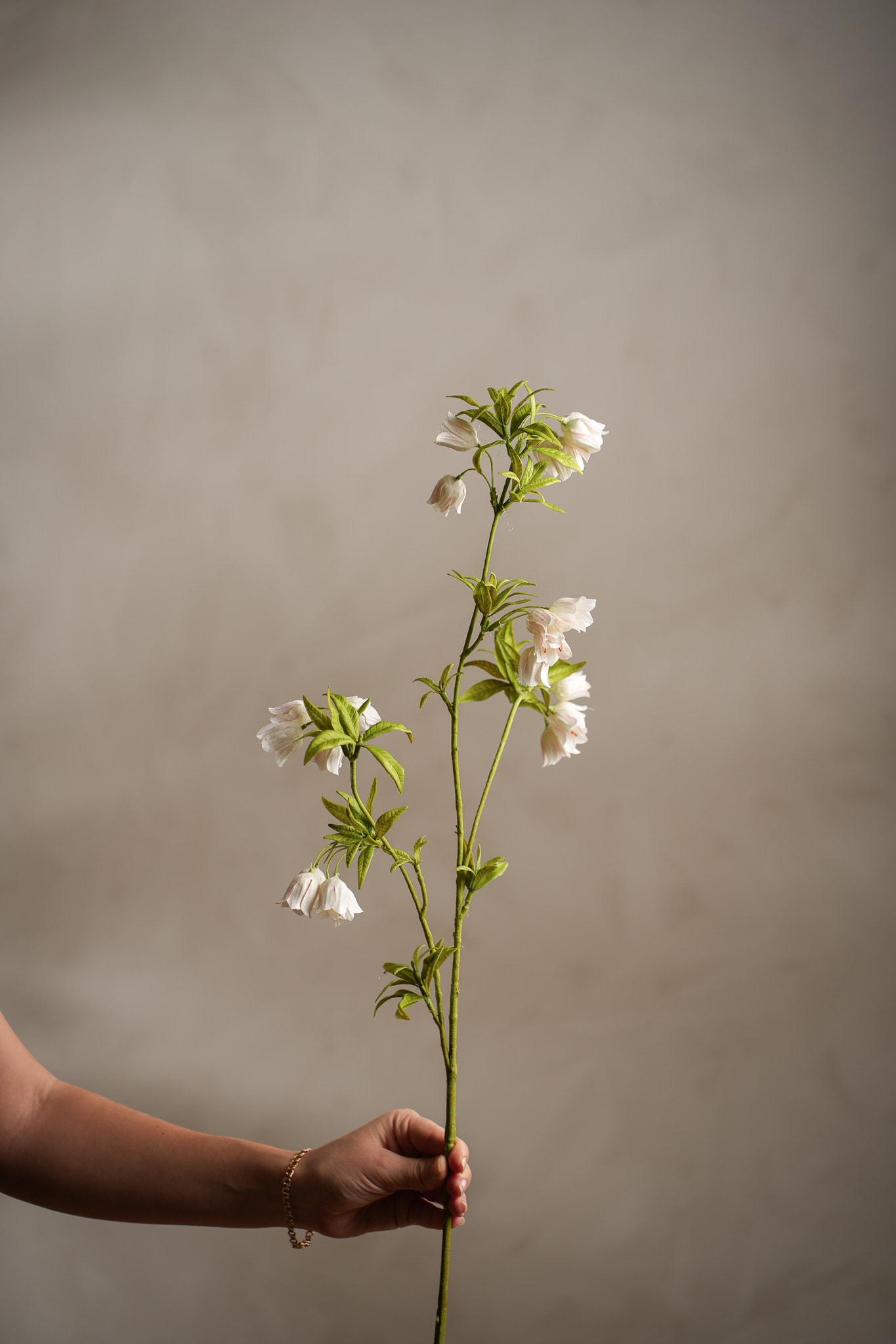 Kunstig kremfarget Enkianthus 80 cm