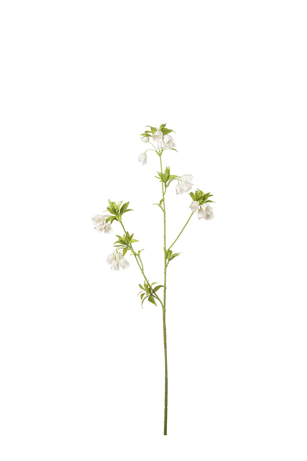 Kunstig kremfarget Enkianthus 80 cm