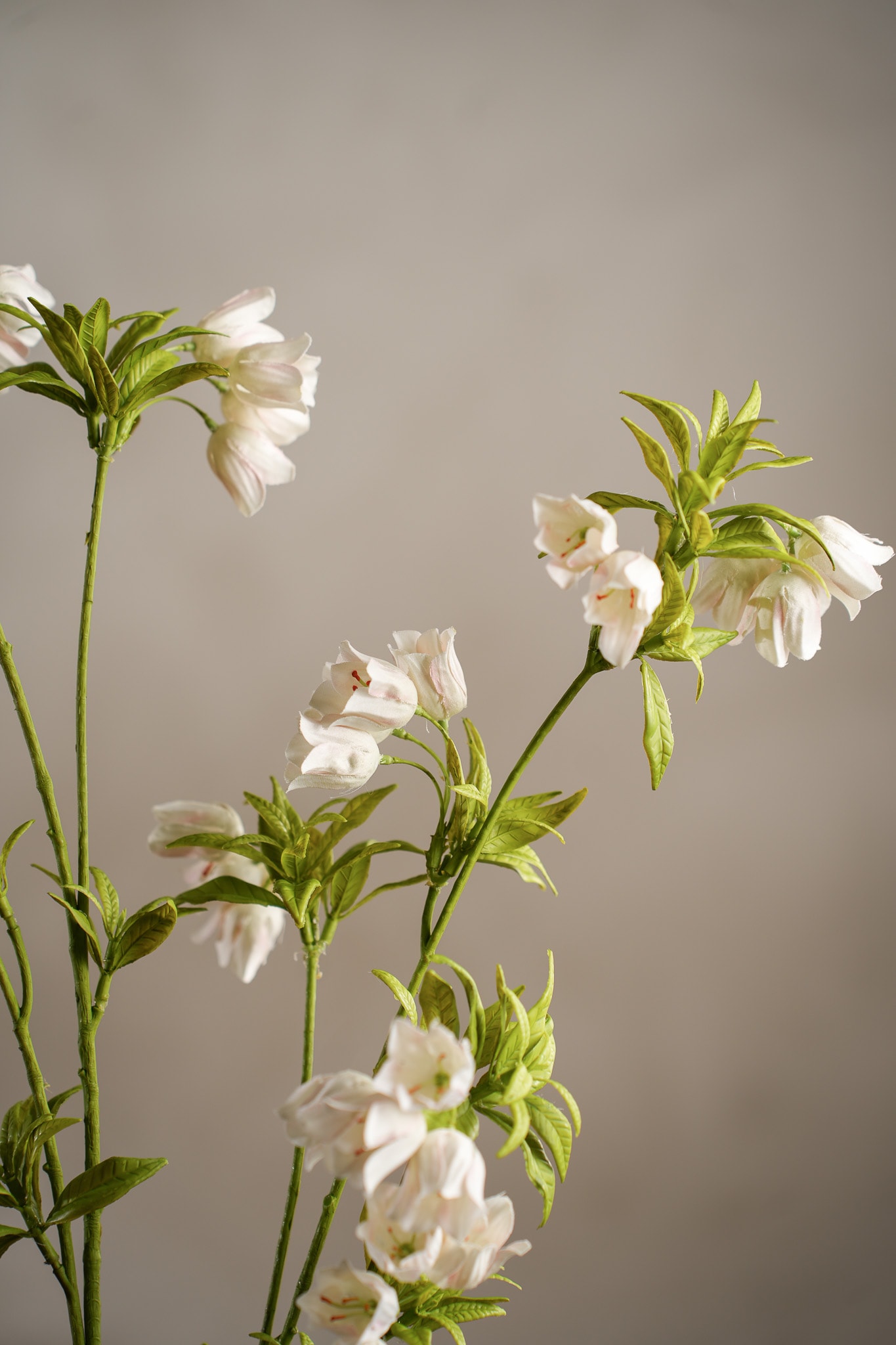 Kunstig kremfarget Enkianthus 110 cm