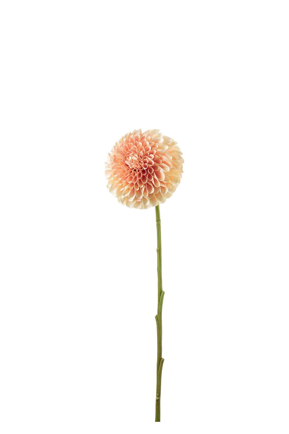 Kunstig ferskenfarget Dahlia 75 cm