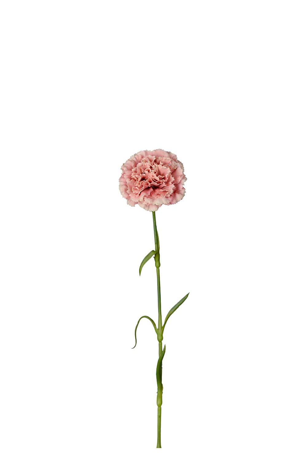 Kunstig rosa Nellik 44 cm