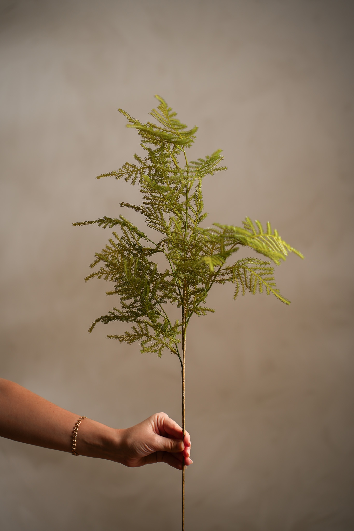 Kunstig grønn Asparagus 70 cm