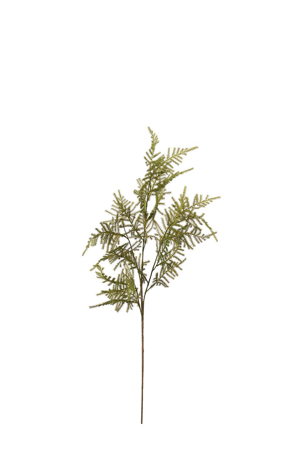 Kunstig grønn Asparagus 70 cm