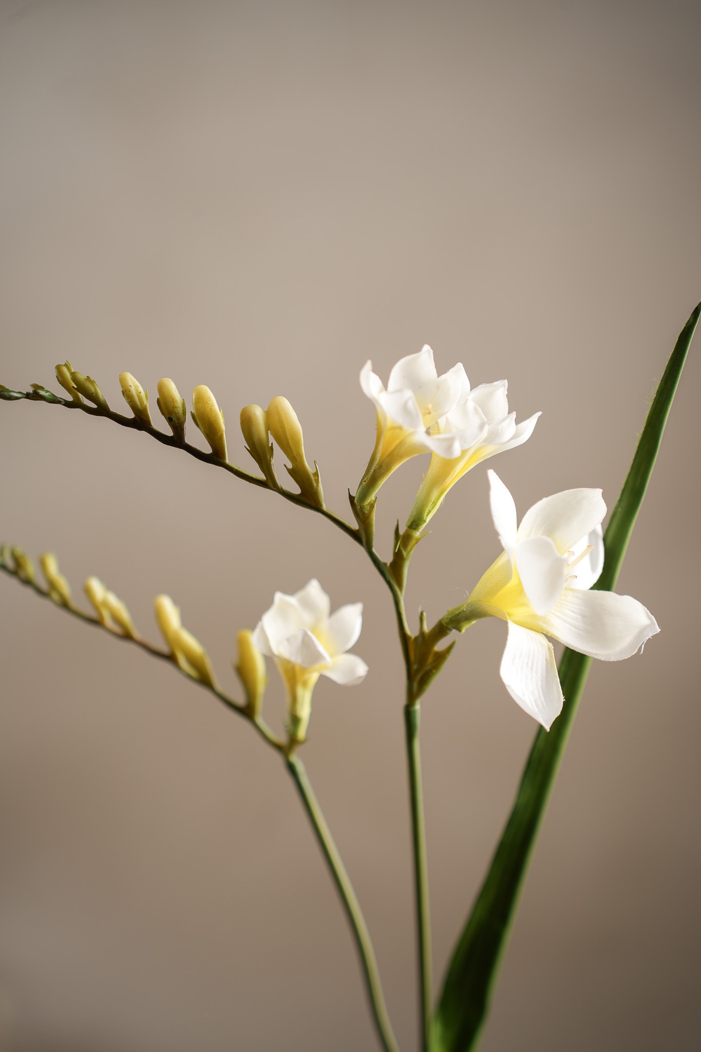 Kunstig hvit Freesia 60 cm