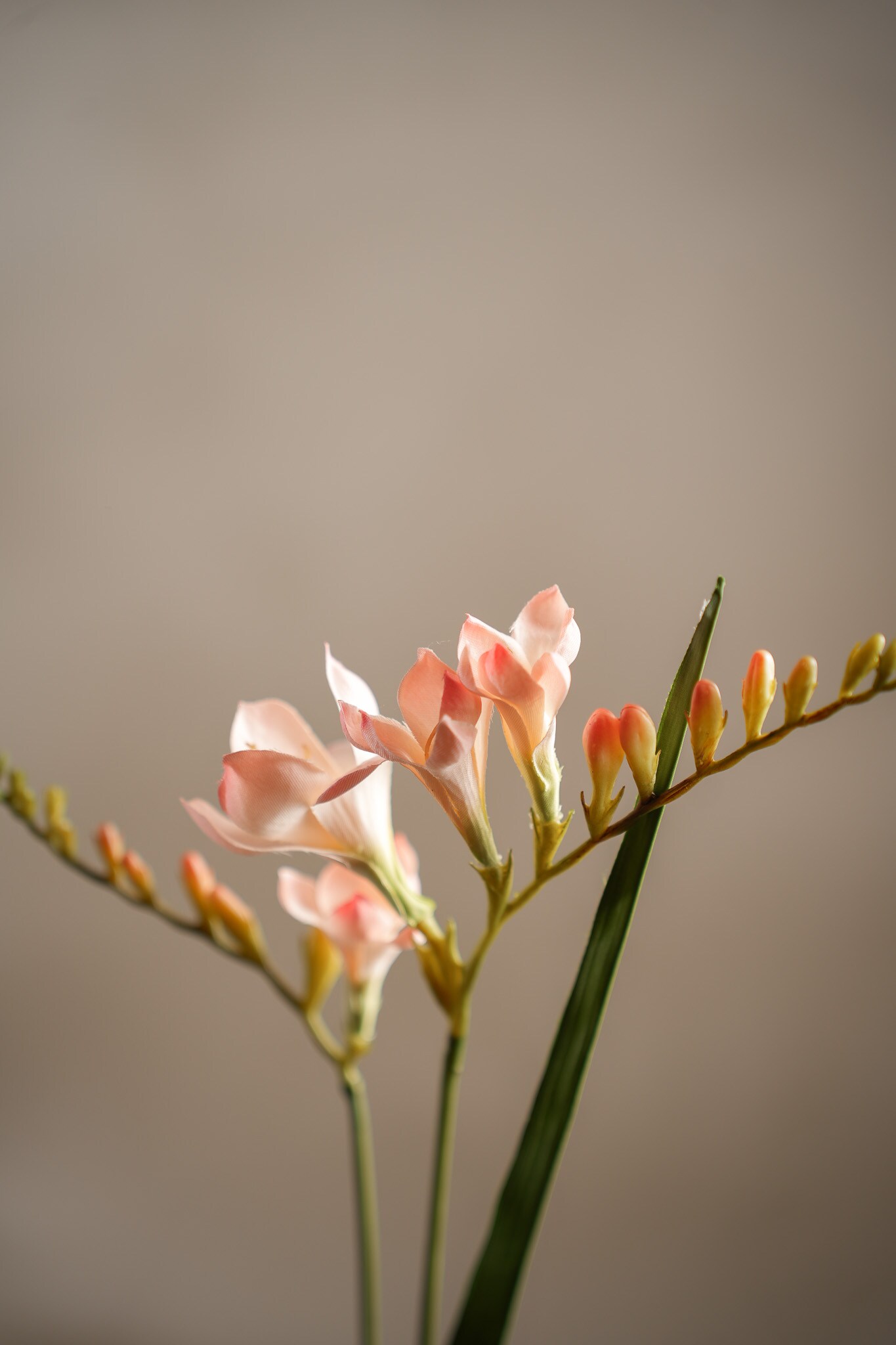 Kunstig rosa Freesia 60 cm