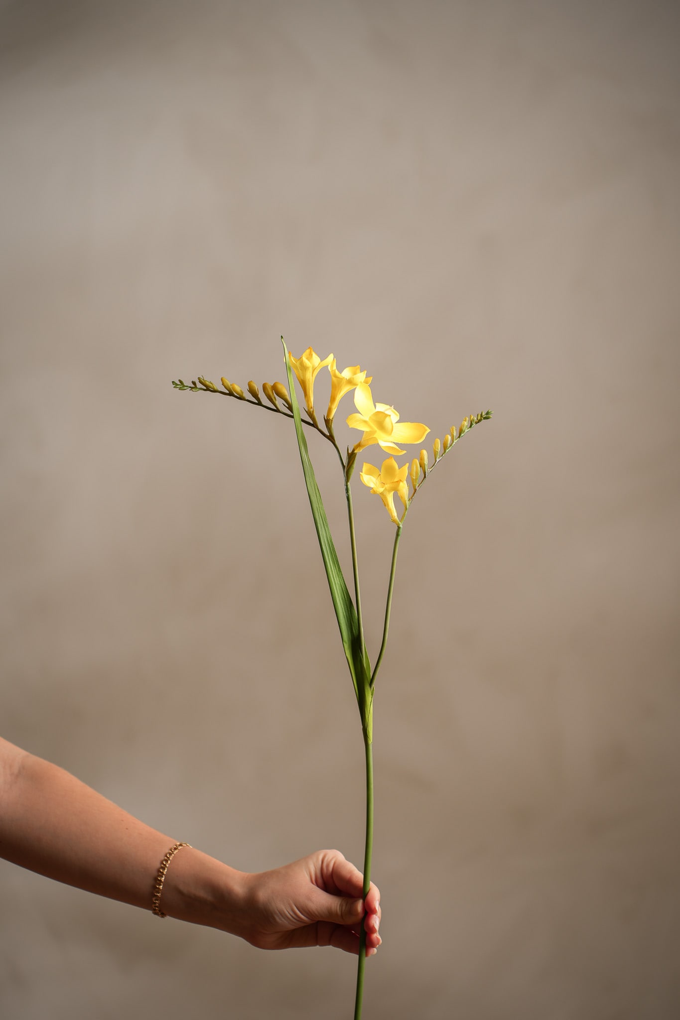 Kunstig gul Freesia 60 cm