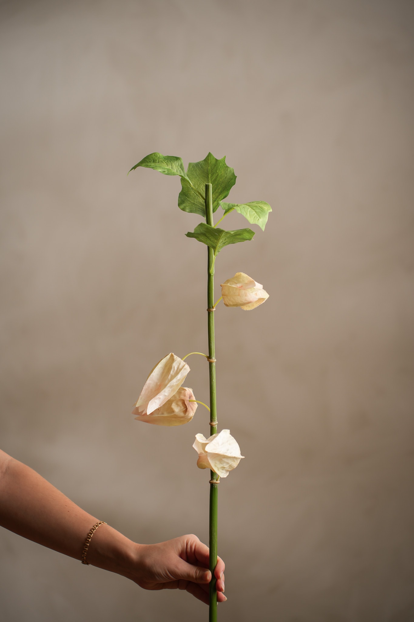 Kunstig flerfarget Physalis 85 cm