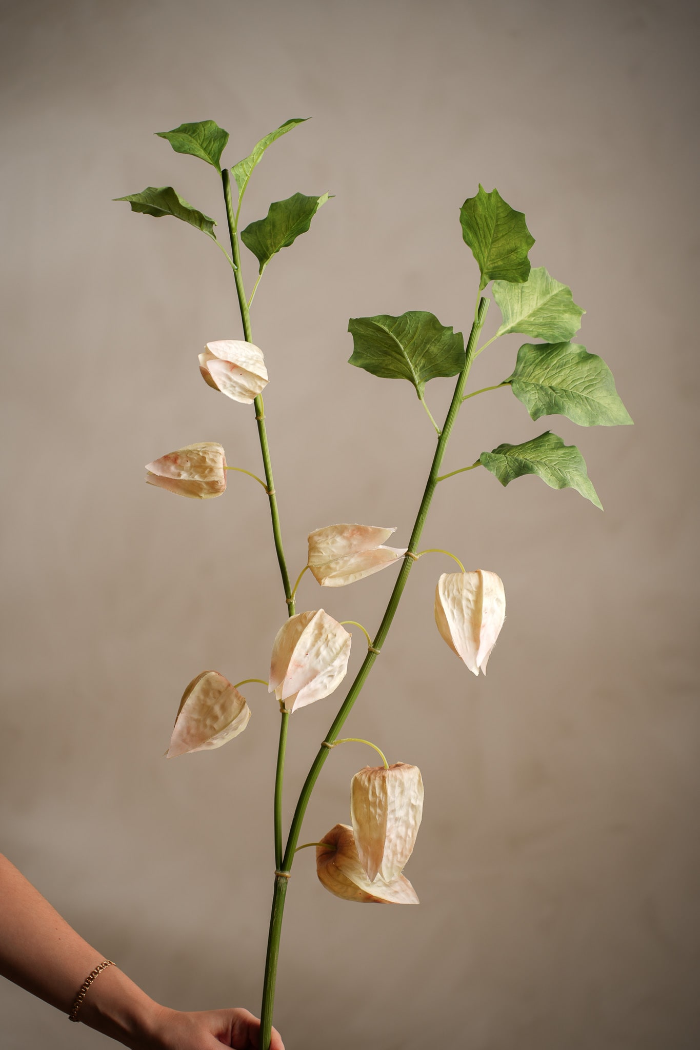 Kunstig flerfarget Physalis 120 cm