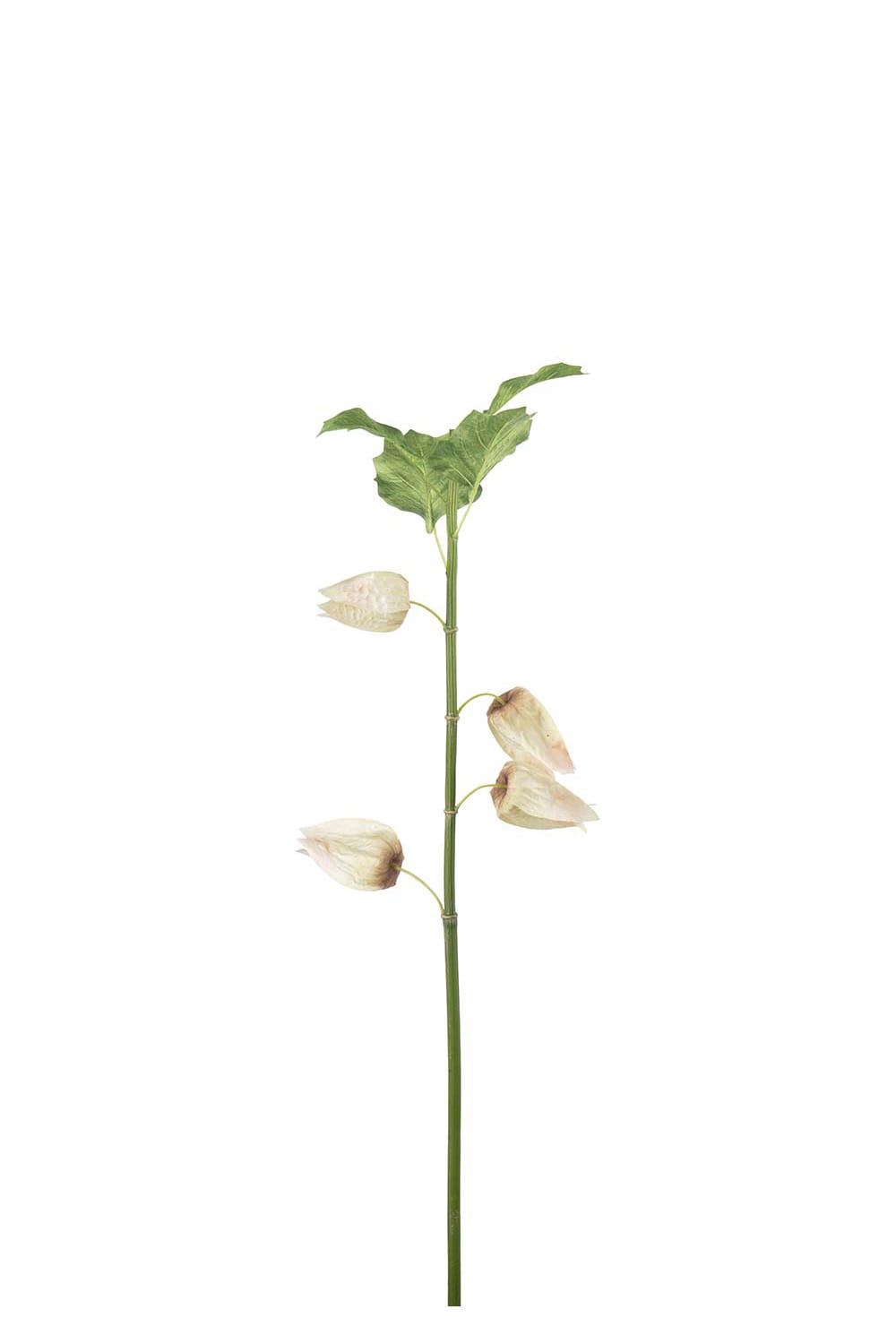 Kunstig flerfarget Physalis 120 cm