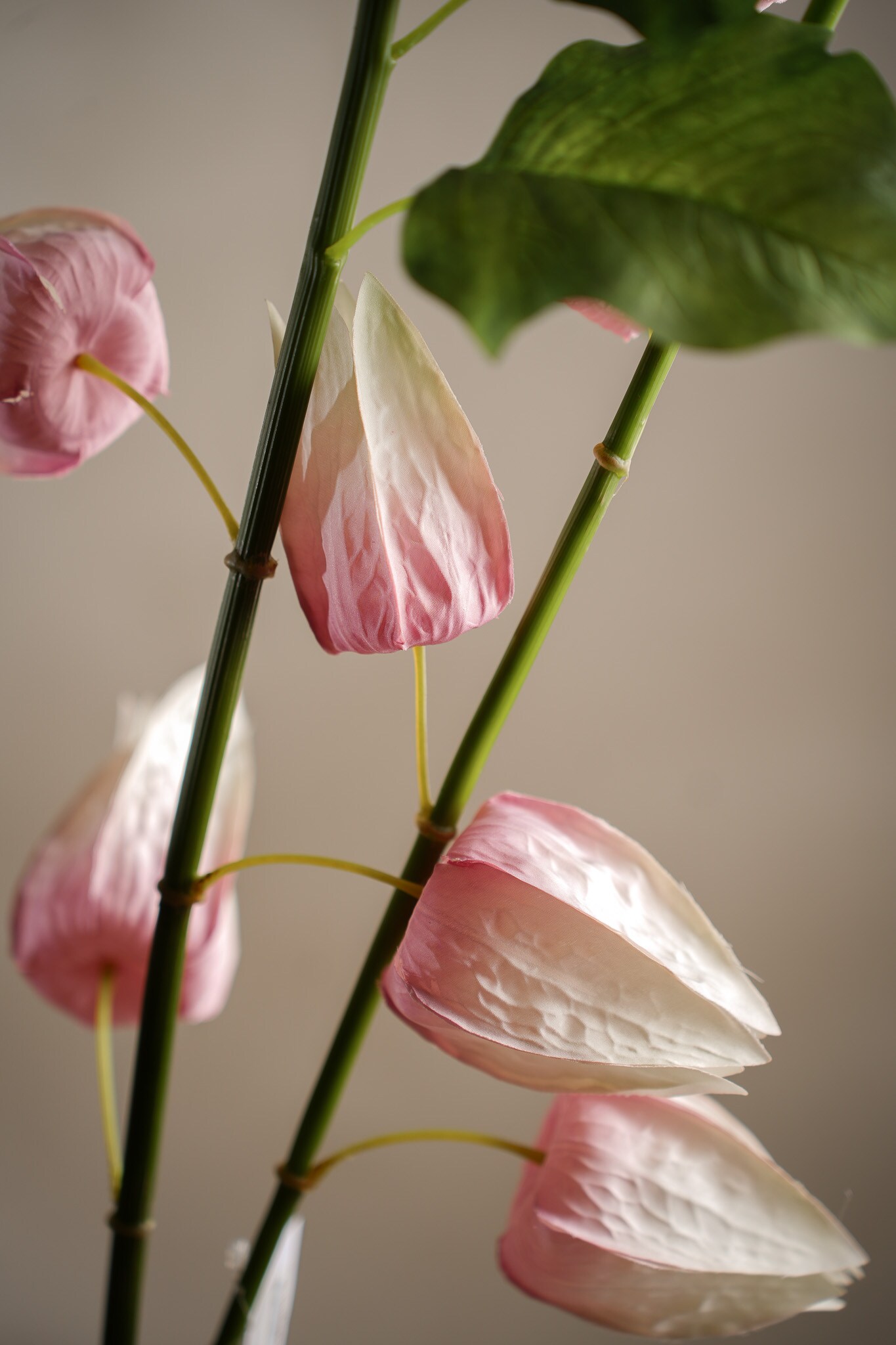 Kunstig rosa Physalis 120 cm