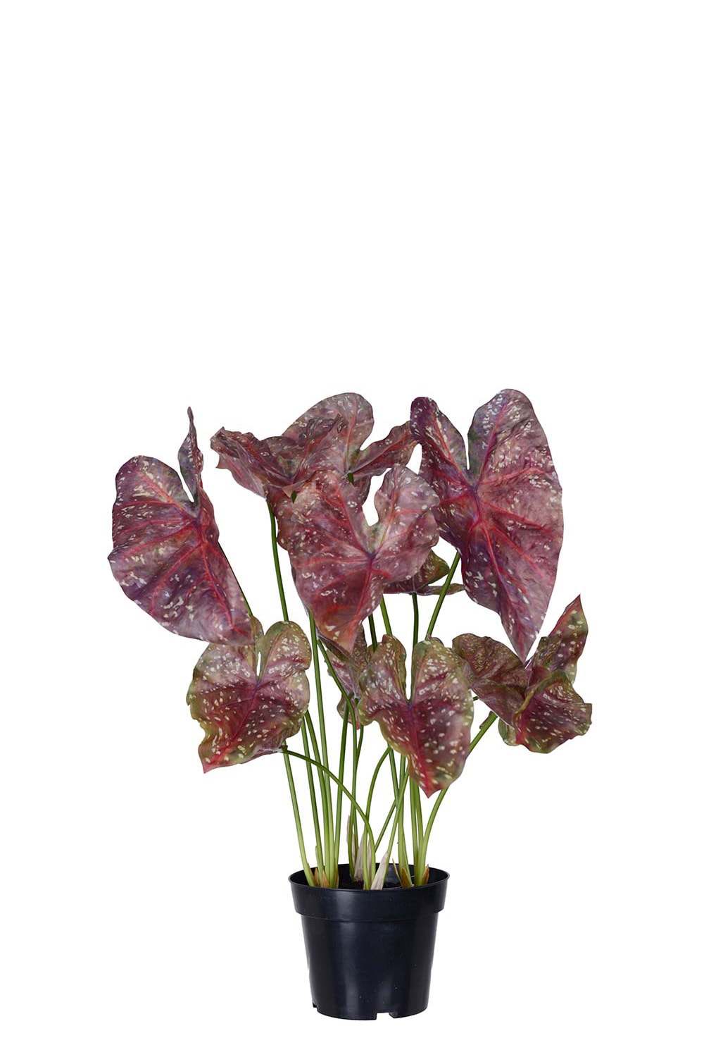 Kunstig burgunder Caladium 75 cm