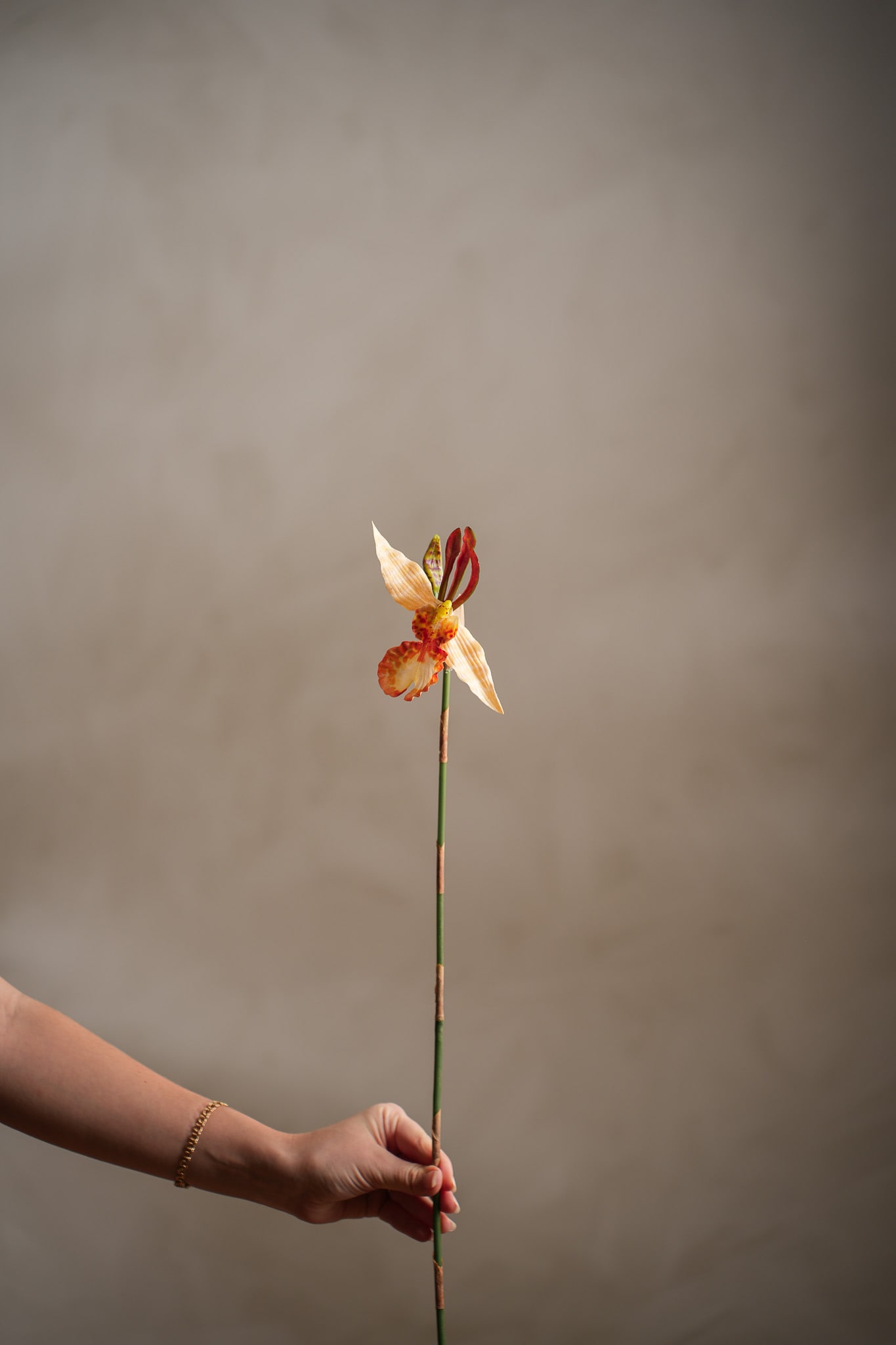 Kunstig oransje Psychopsis 80 cm