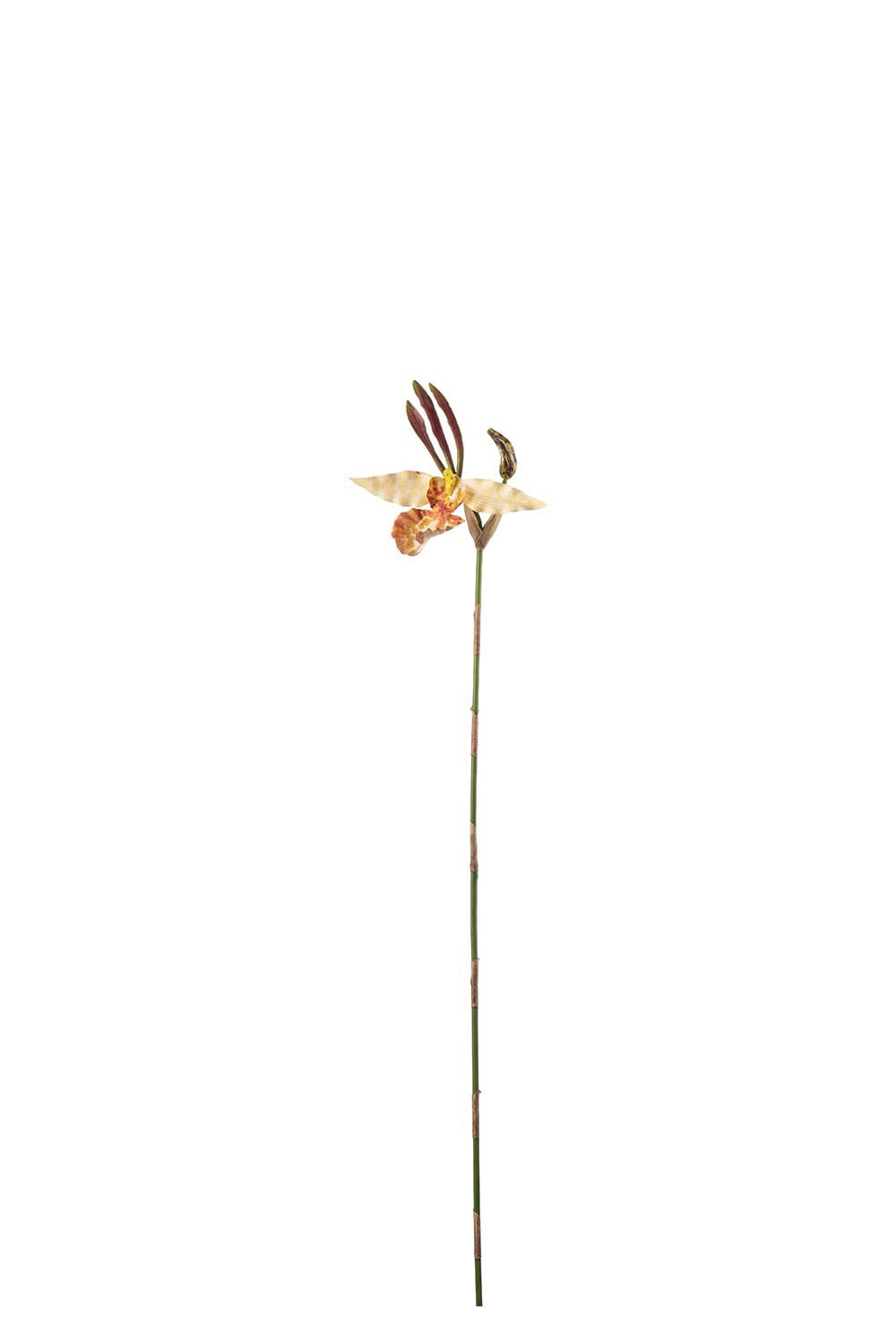 Kunstig oransje Psychopsis 80 cm