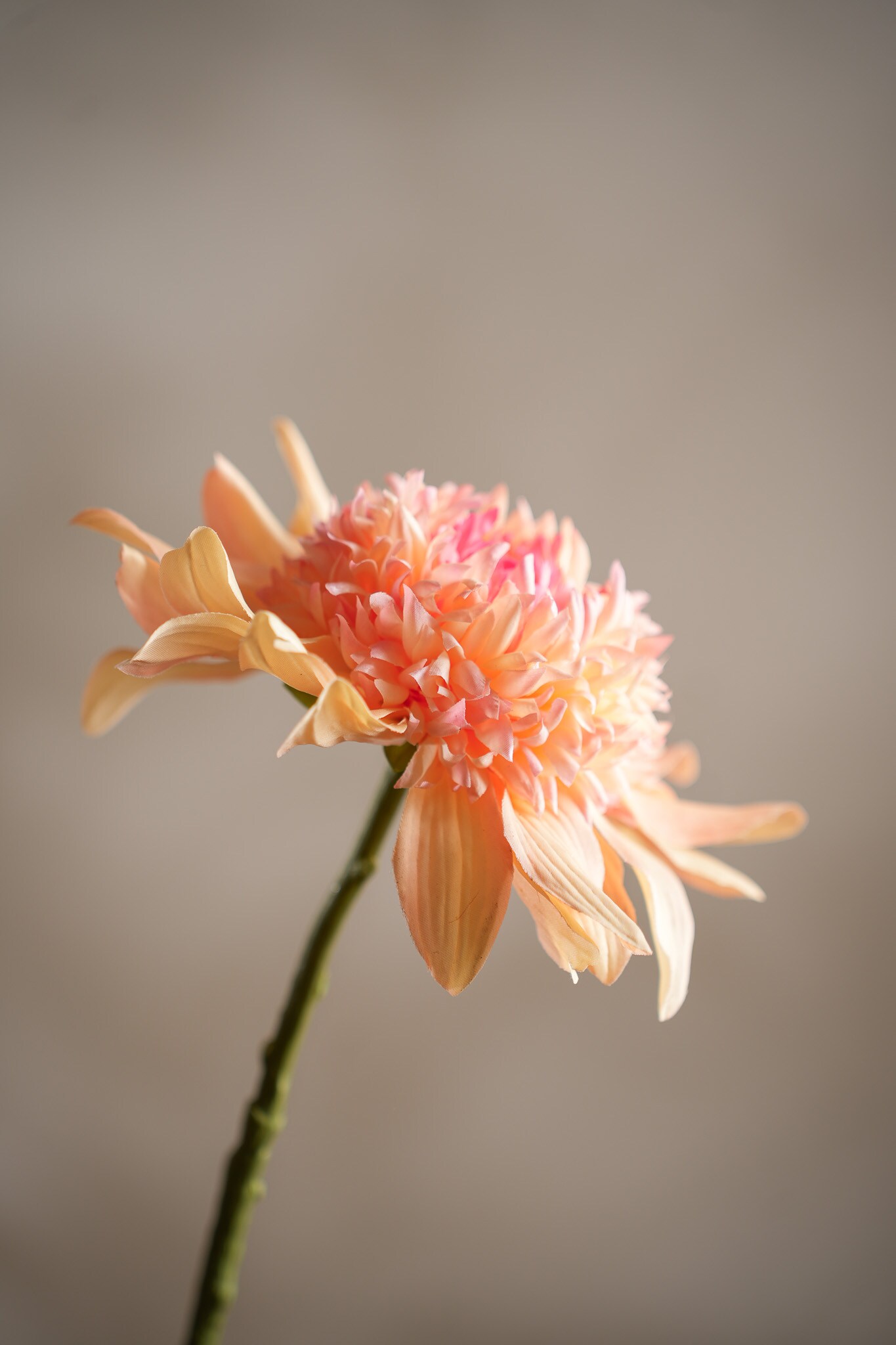 Kunstig ferskenfarget Dahlia 62 cm
