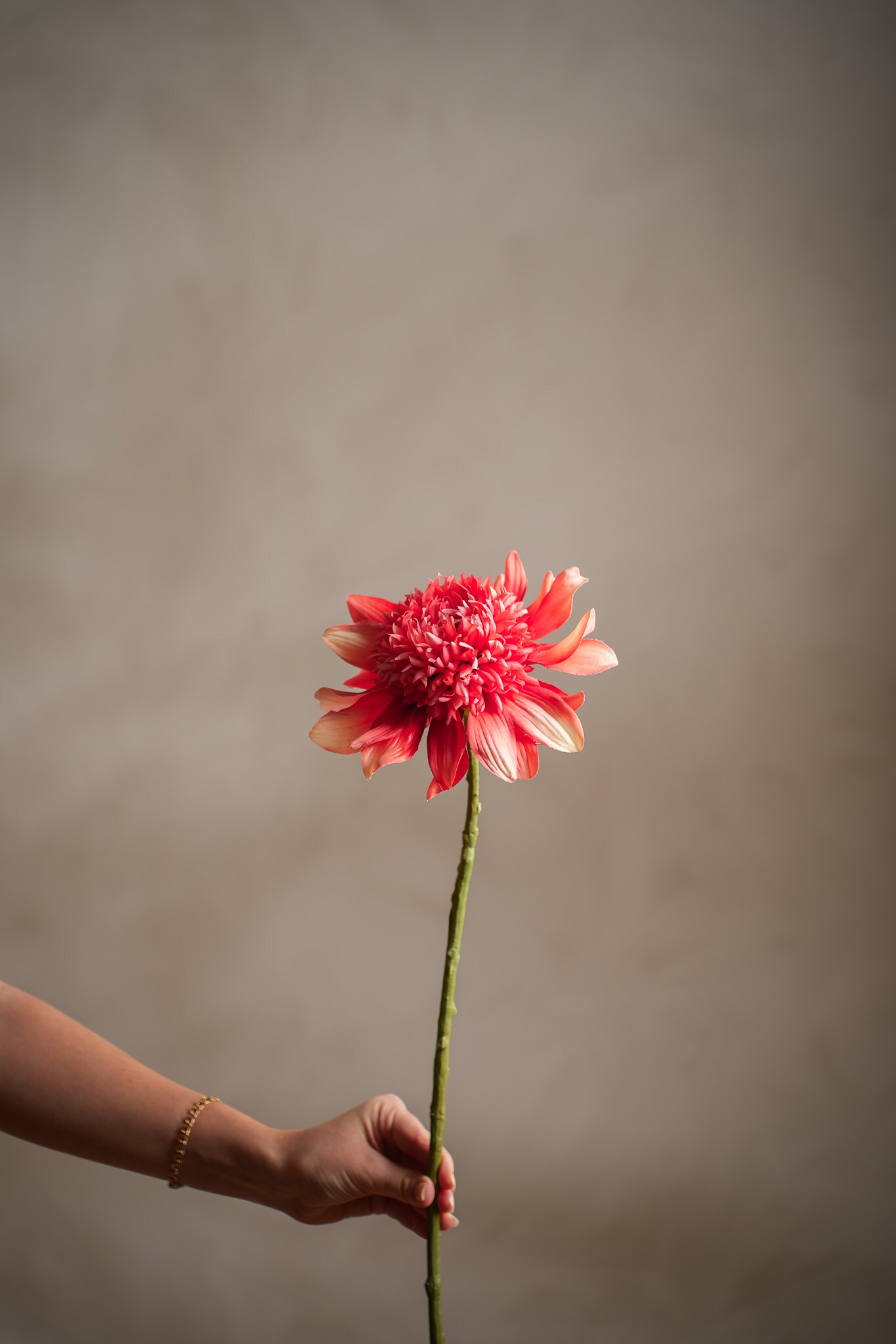 Kunstig korallfarget Dahlia 62 cm