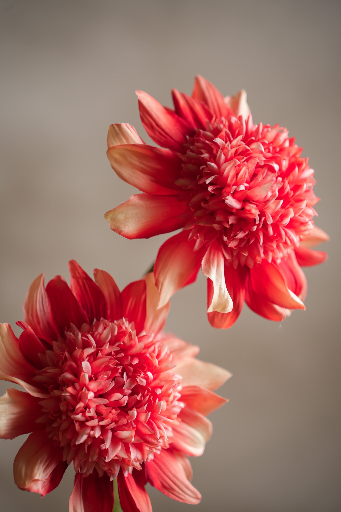 Kunstig korallfarget Dahlia 95 cm
