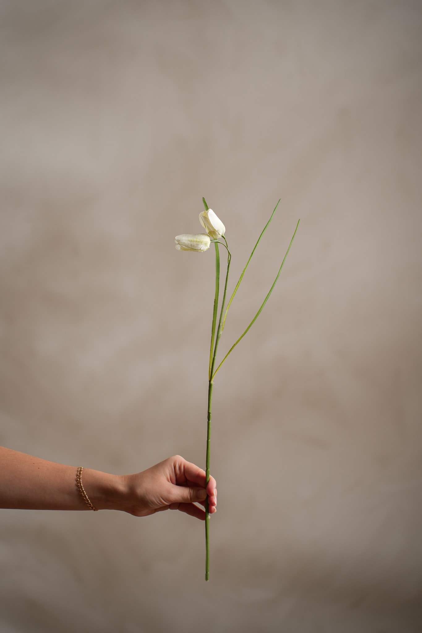 Kunstig kremfarget Fritillaria 50 cm