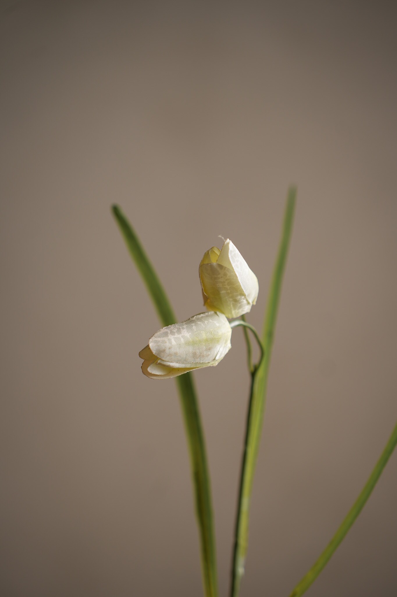Kunstig kremfarget Fritillaria 50 cm
