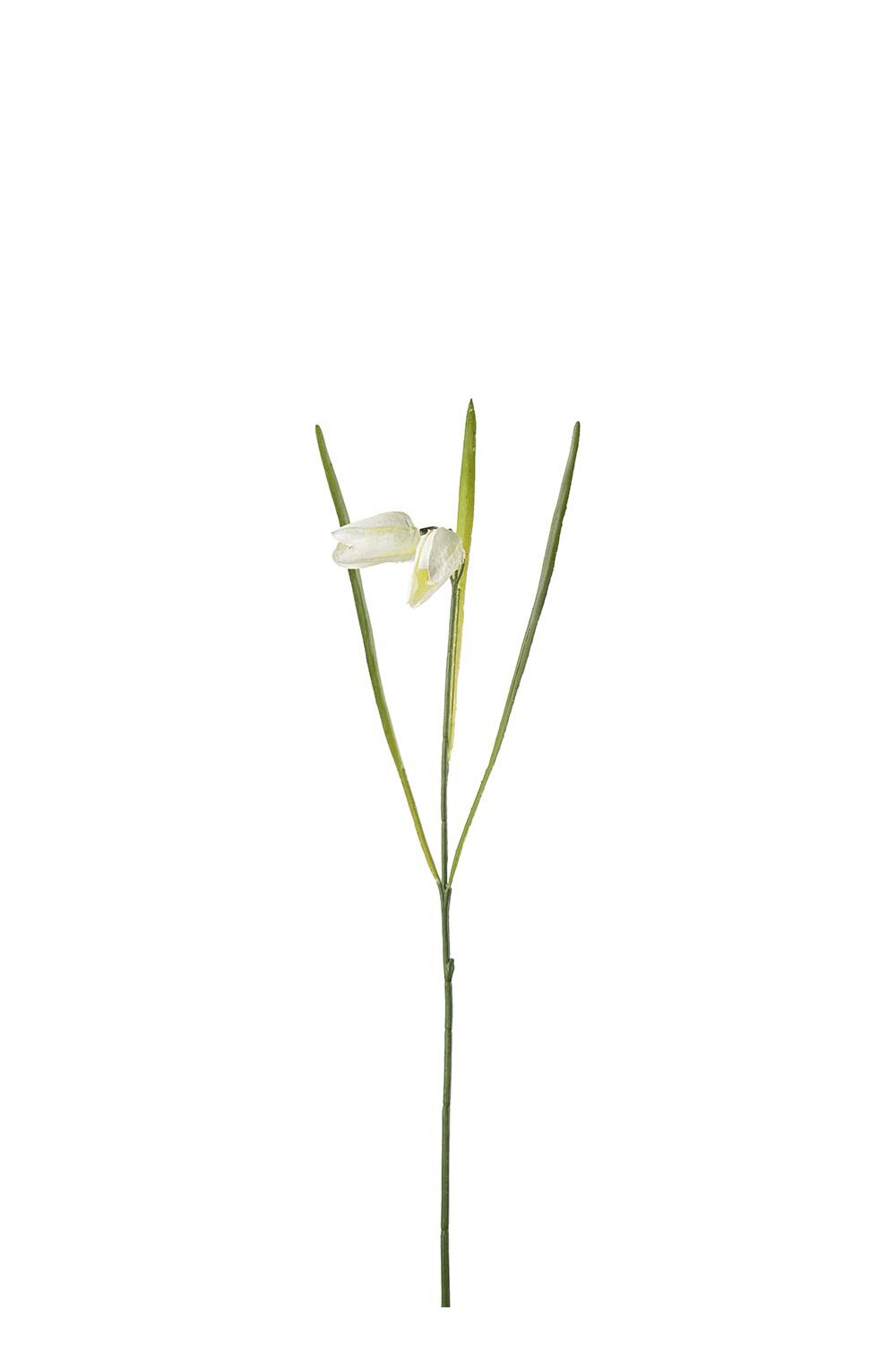 Kunstig kremfarget Fritillaria 50 cm