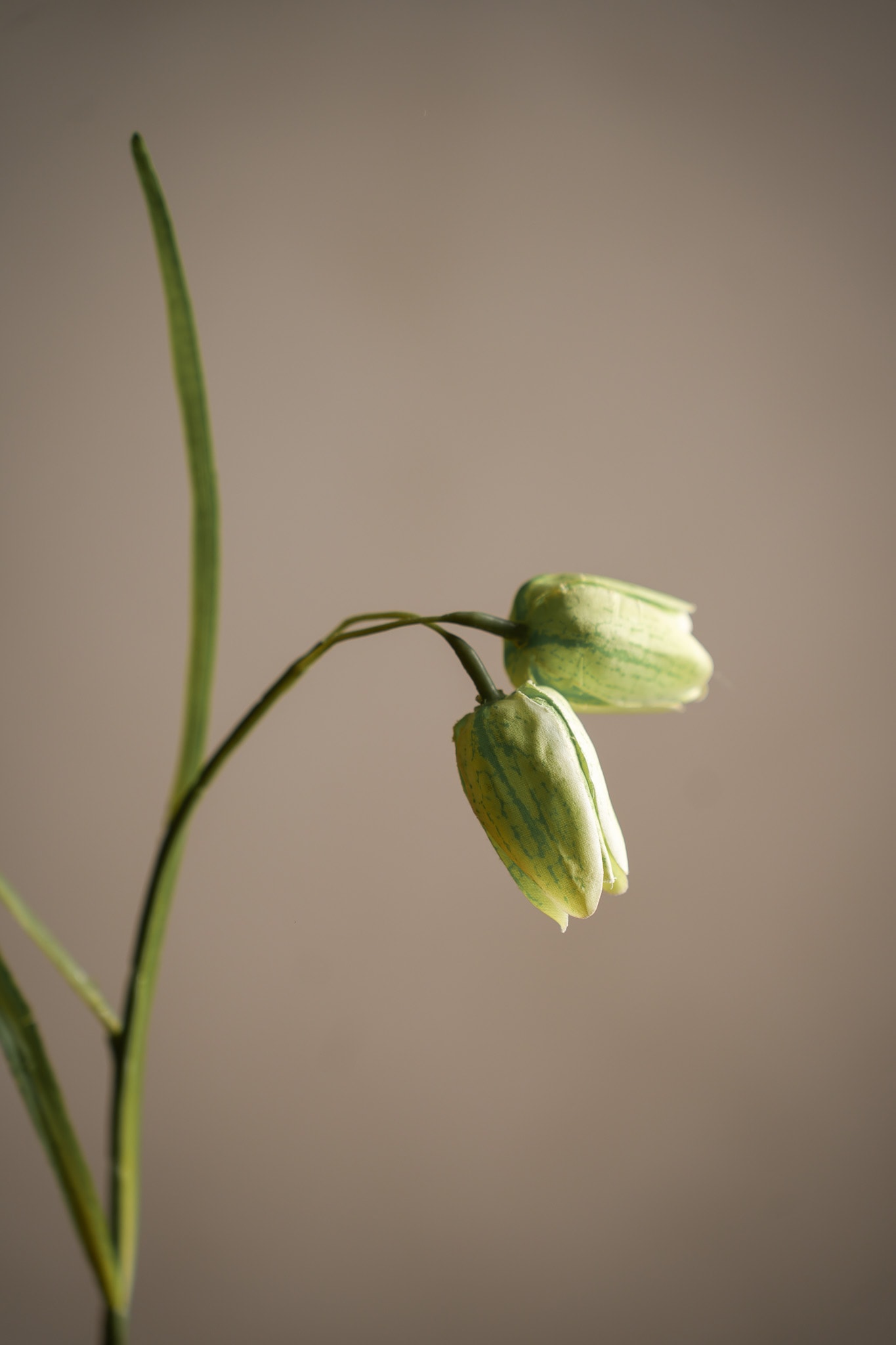 Kunstig grønn Fritillaria 50 cm