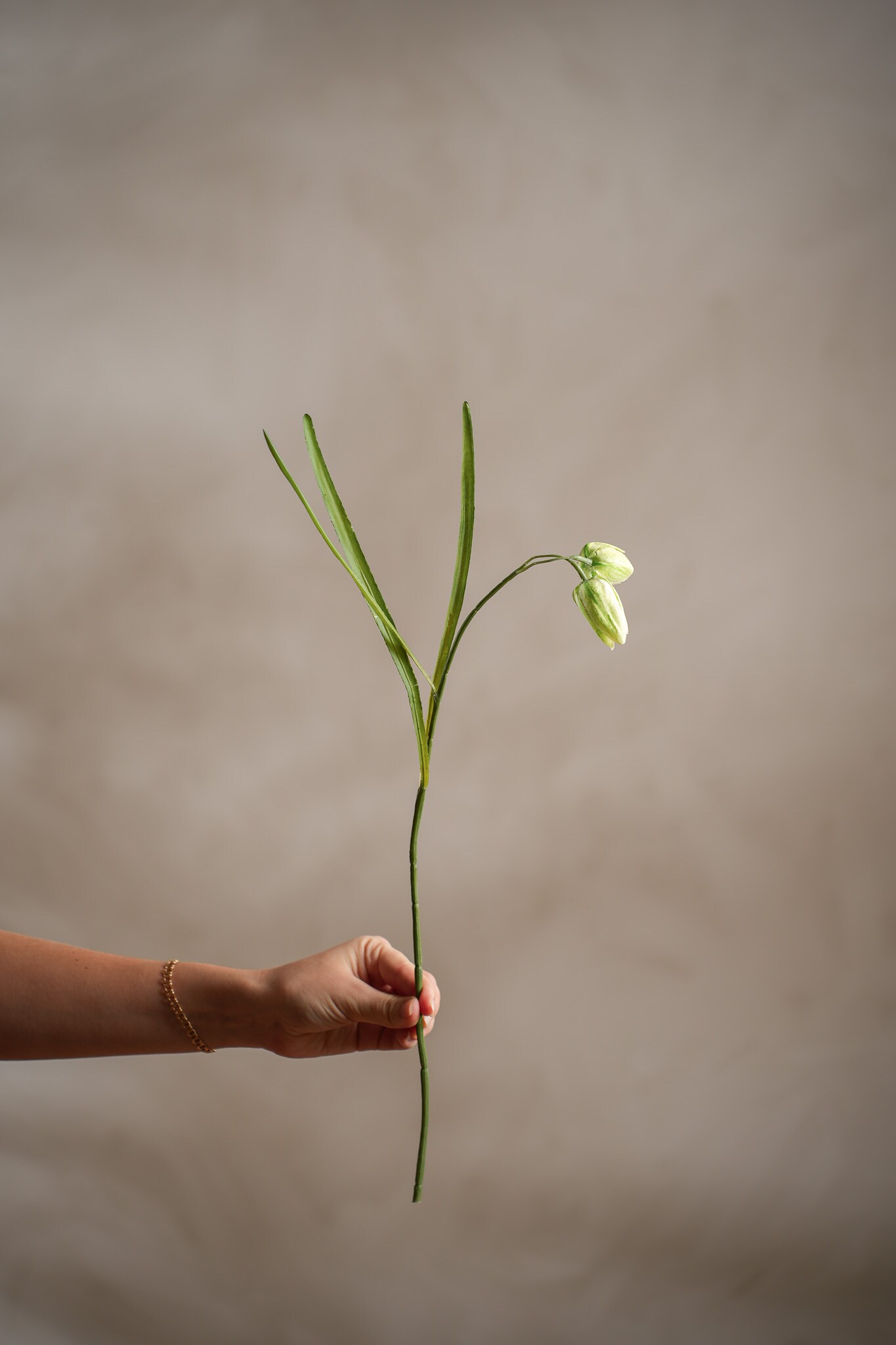 Kunstig grønn Fritillaria 50 cm