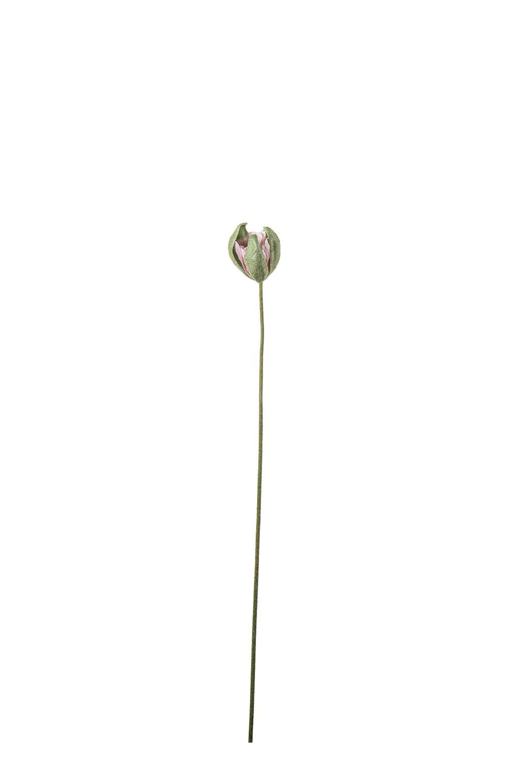 Kunstig lilla Valmueknopp 78 cm