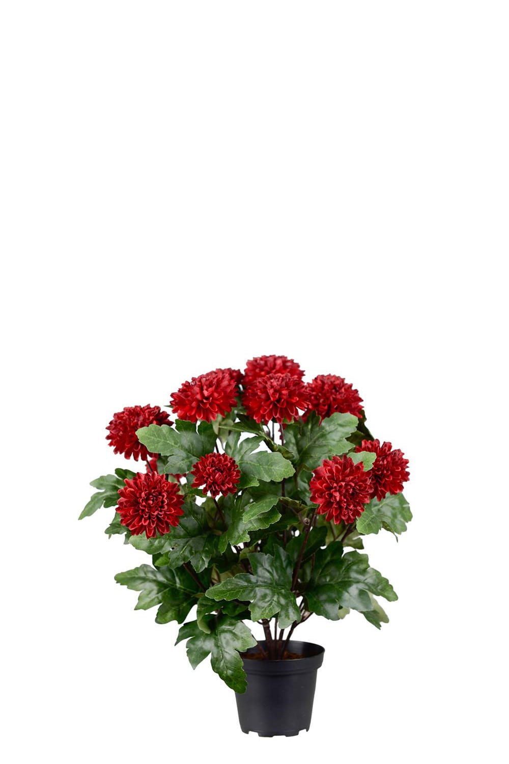 Kunstig burgunder Chrysanthemum 30 cm