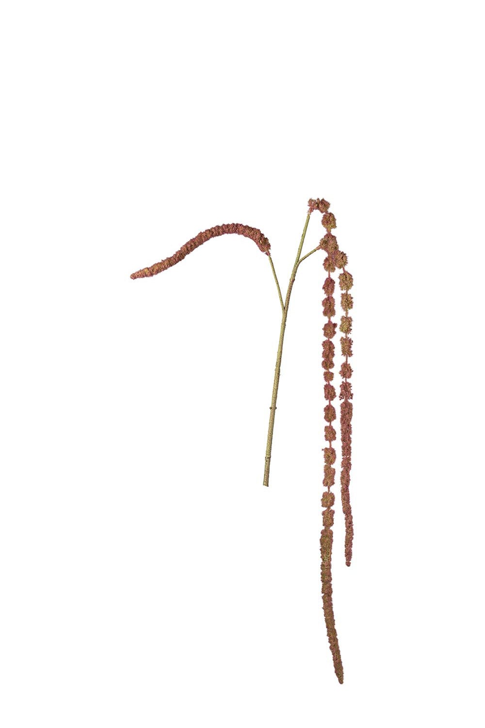 Kunstig rød Amaranthus 55 cm