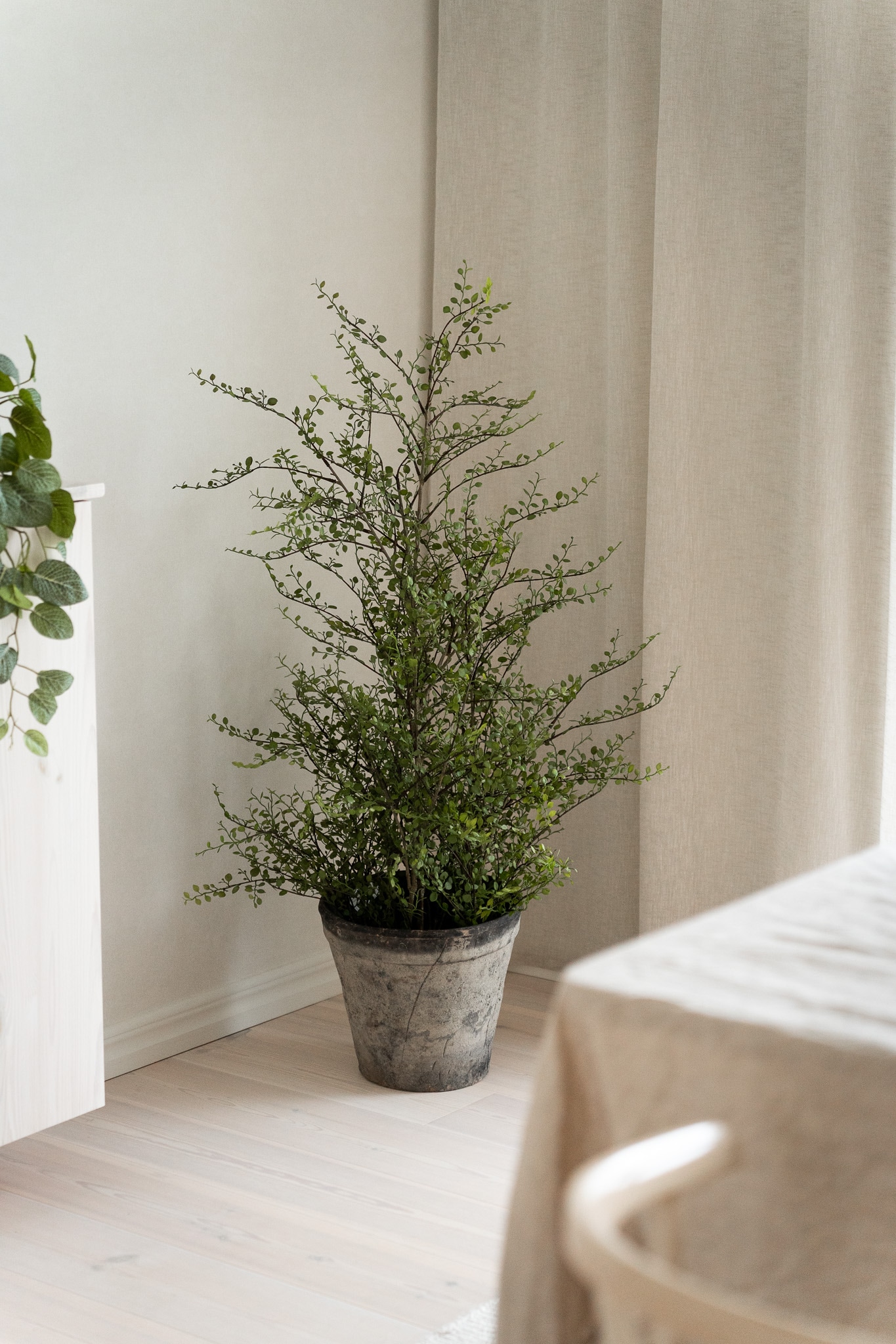 Kunstig grønn Muehlenbeckia 120 cm