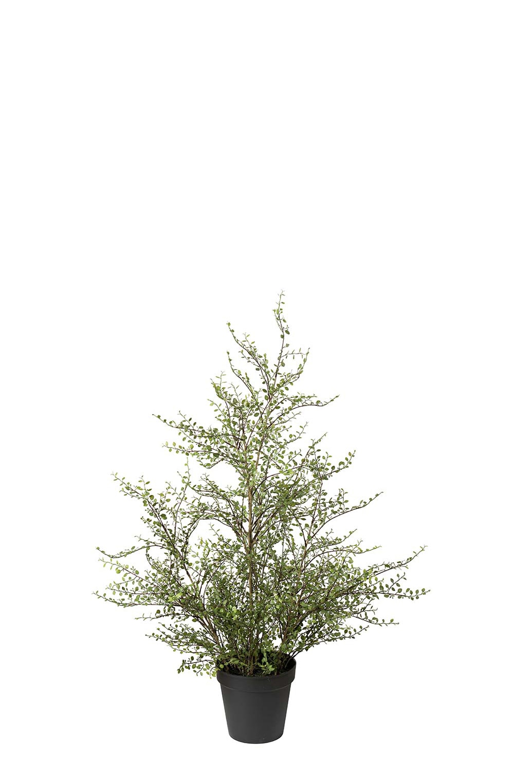 Kunstig grønn Muehlenbeckia 120 cm