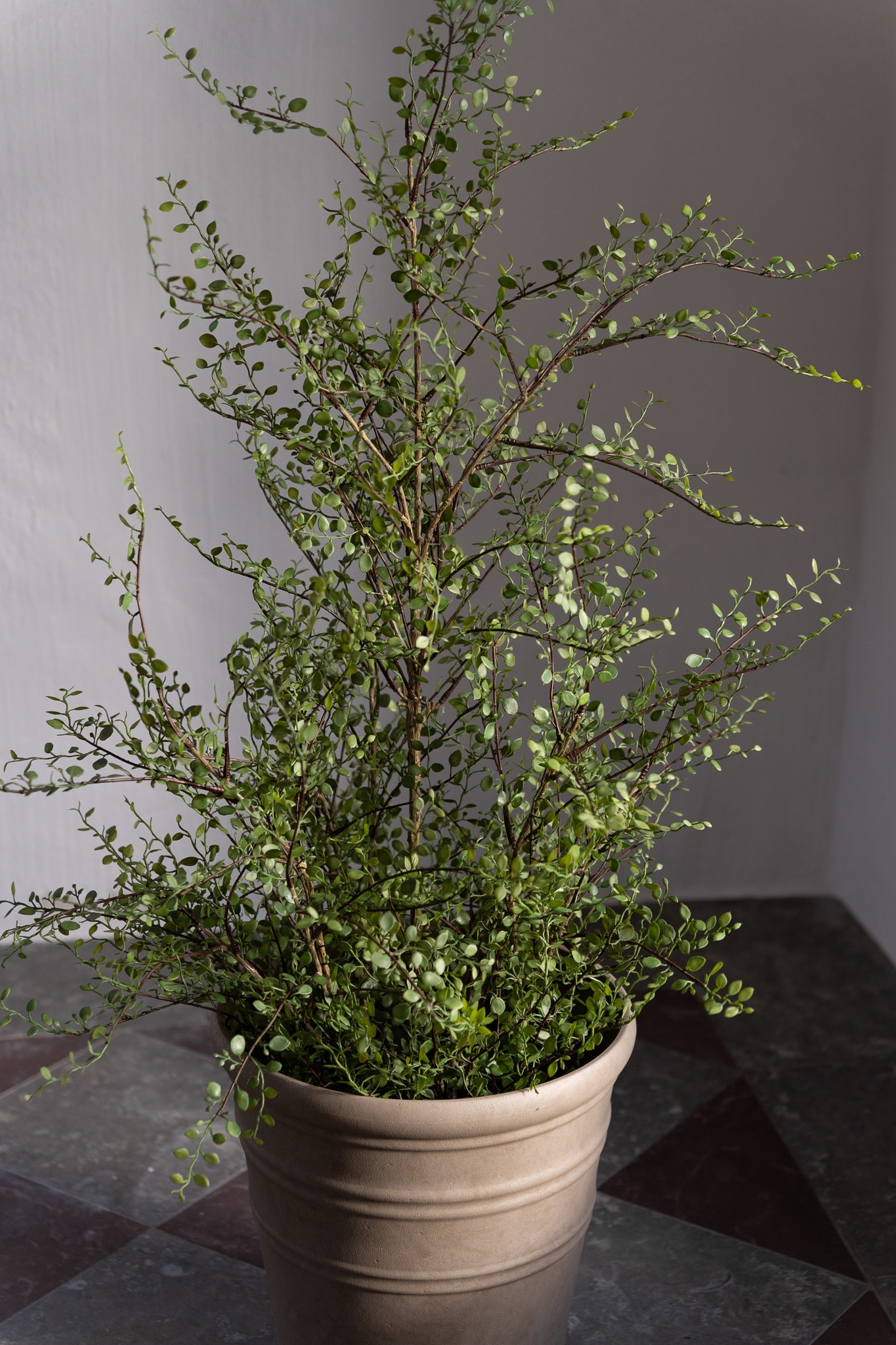 Kunstig grønn Muehlenbeckia 120 cm