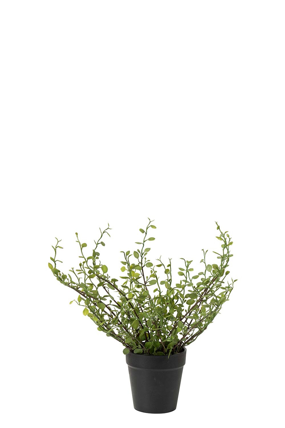 Kunstig grønn Muehlenbeckia 25 cm