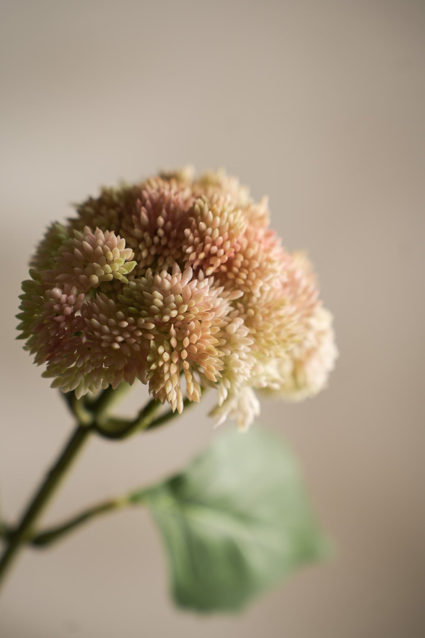 Kunstig rosa Sedum 37 cm