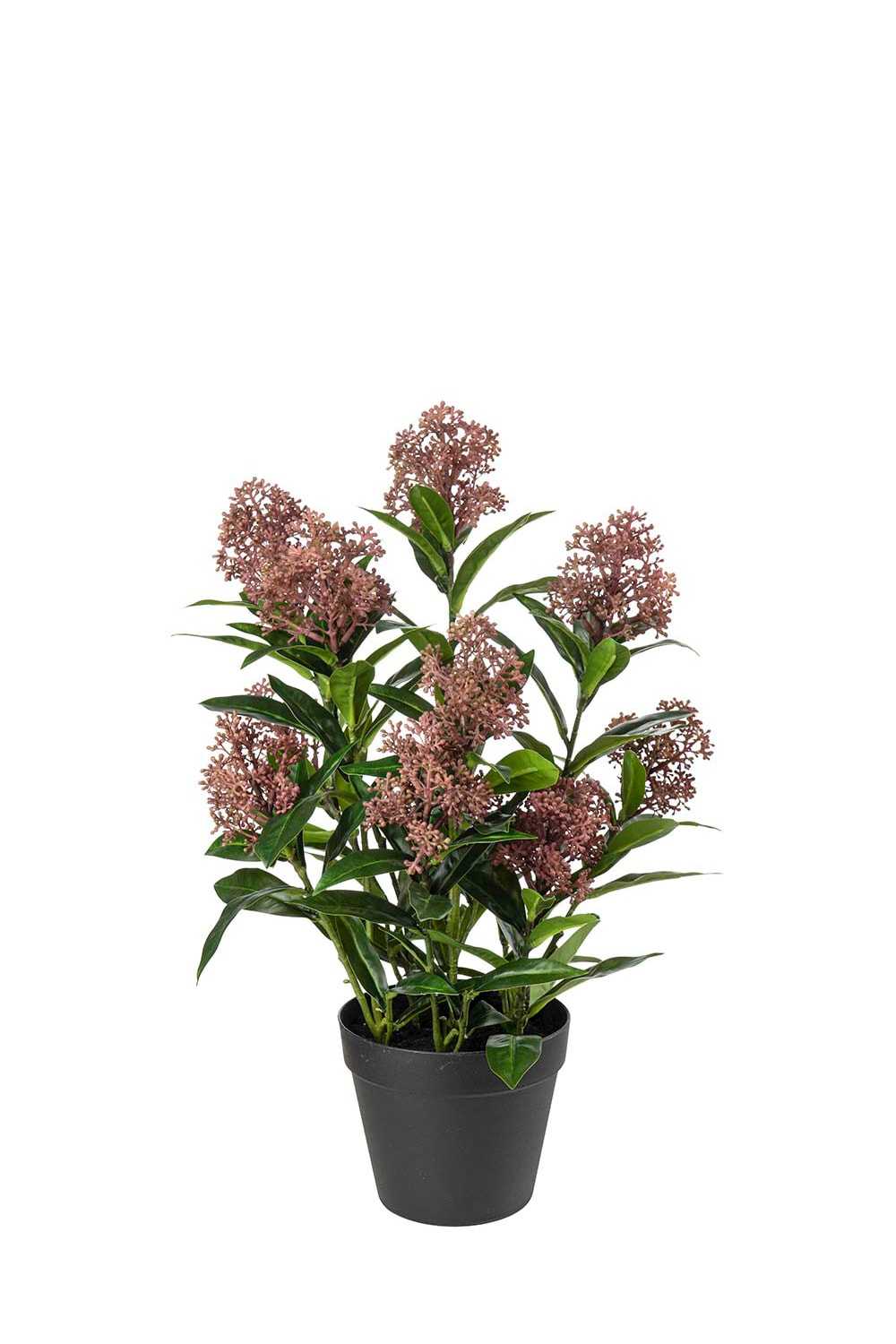 Kunstig burgunder Skimmia 55 cm